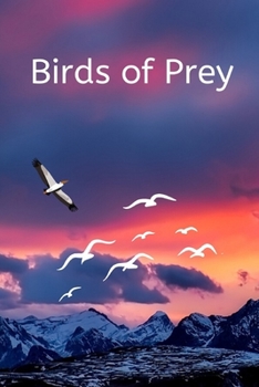 Birds of Prey: Writing journal/ Composition Notebook / Journal / Diary / Birds of Prey