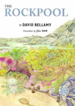 The Rockpool - Book  of the Bellamy's Changing World