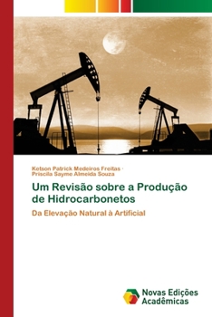 Paperback Um Revisão sobre a Produção de Hidrocarbonetos [Portuguese] Book