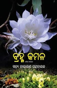 Paperback Brahma Kamal [Oriya] Book