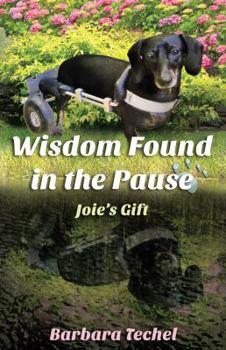 Paperback Wisdom Found in the Pause: Joie's Gift Book