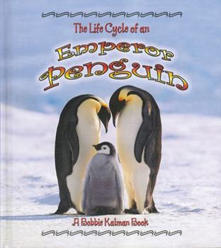 Paperback The Life Cycle of an Emperor Penguin Book