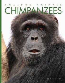 Chimpanzees - Book  of the Amazing Animals