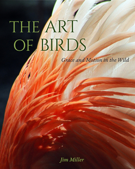 Hardcover The Art of Birds: Grace and Motion in the Wild Book