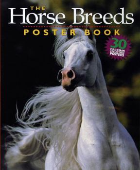 Paperback The Horse Breeds Poster Book