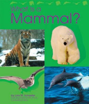 Hardcover What Is a Mammal? Book