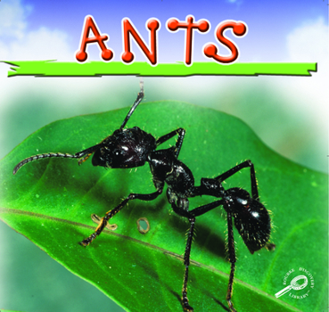 Paperback Ants Book