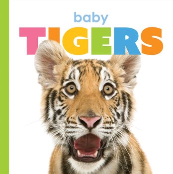 Paperback Baby Tigers Book
