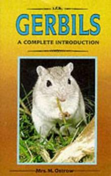 Paperback Gerbils Book