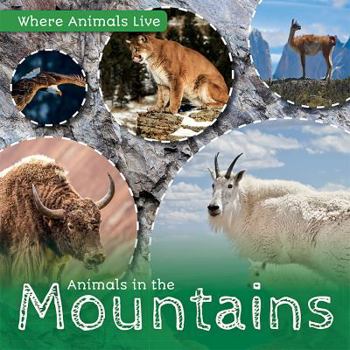 Library Binding Animals in the Mountains Book