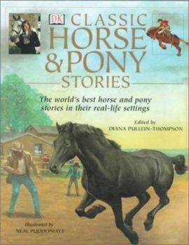 Hardcover Classic Horse & Pony Stories Book