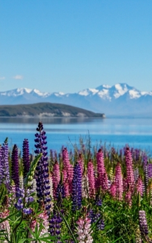 Paperback Notebook: New Zealand Tekapo Lake Sky Clouds Water Blue Book