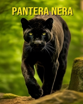 Paperback Pantera nera: Immagini Divertenti e Straordinarie sui Pantera nera [Italian] Book