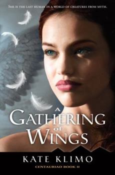 Hardcover A Gathering of Wings Book