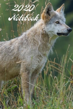 2020 Notebook: A5 (6 x 9 Inches) Notebook Journal Diary. High Quality Hand Writing Journal with 100 Pages