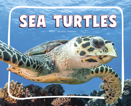 Library Binding Sea Turtles Book