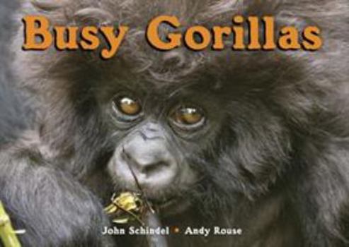 Busy Gorillas - Book  of the A Busy Book