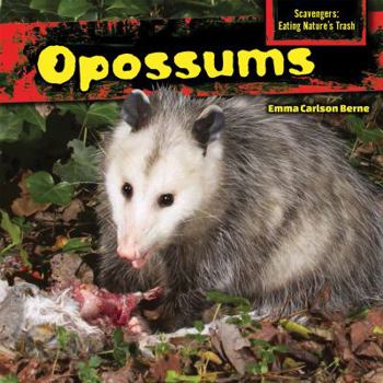 Library Binding Opossums Book