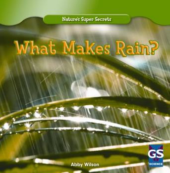 Library Binding What Makes Rain? Book
