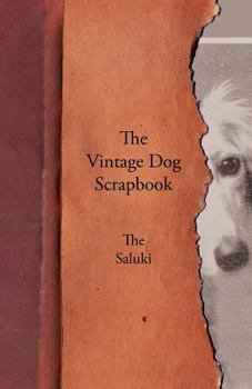 Paperback The Vintage Dog Scrapbook - The Saluki Book