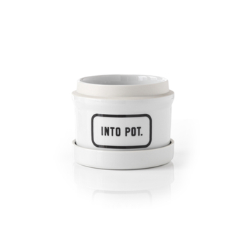 Paperback Into Pot Planter W/ Drip Tray Book