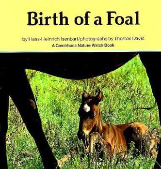 Hardcover Birth of a Foal Book