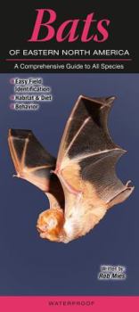 Paperback Bats of Eastern North America: A Comprehensive Guide to All Species Book