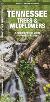 Paperback Tennessee Trees & Wildflowers: A Folding Pocket Guide to Familiar Plants Book