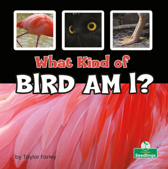 Library Binding What Kind of Bird Am I? Book