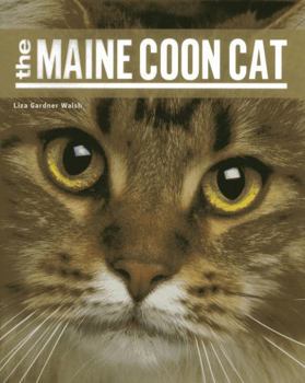 Paperback Maine Coon Cat PB Book