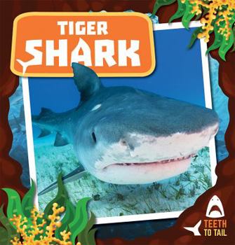 Library Binding Tiger Shark Book