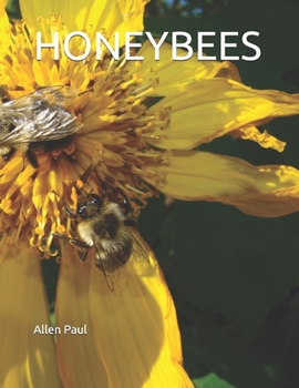 Paperback Honeybees Book