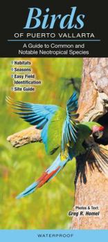Pamphlet Birds of Puerto Vallarta: A Guide to Common & Notable Neotropical Species Book