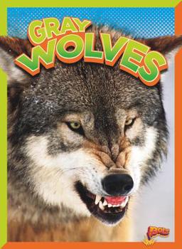 Paperback Gray Wolves Book