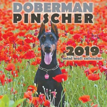 Paperback Doberman Pinscher 2019 Mini Wall Calendar Book