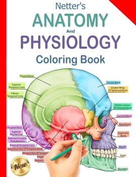 Paperback Netter's Anatomy and Physiology Coloring Book: Human Body Coloring Book & Workbook, Updated Edition Book