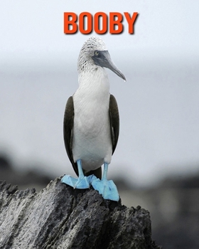 Paperback Booby: Amazing Facts about Booby Book