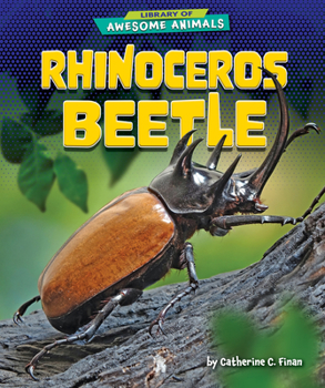 Library Binding Rhinoceros Beetle Book