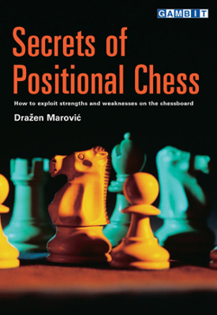 Paperback Secrets of Positional Chess Book
