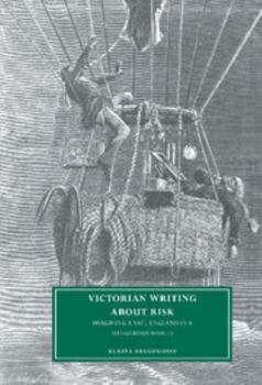 Victorian Writing about Risk: Imagining a Safe England in a Dangerous World (Cambridge Studies in Nineteenth-Century Literature and Culture) - Book  of the Cambridge Studies in Nineteenth-Century Literature and Culture