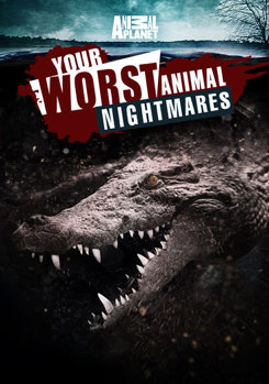 Animal Planet: Your Worst Animal Nightmares
