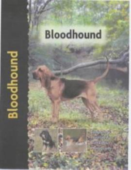 Hardcover Bloodhound Book