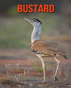 Paperback Bustard: Amazing Facts about Bustard Book