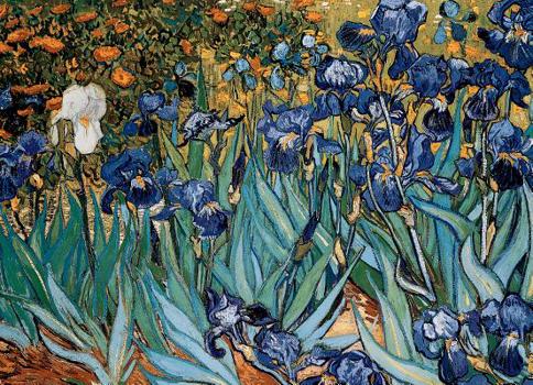 Misc. Irises Puzzle Book
