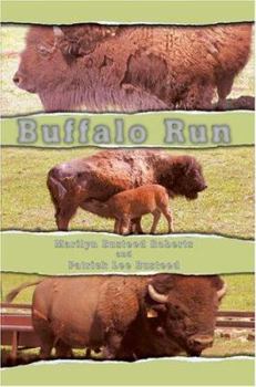 Paperback Buffalo Run Book