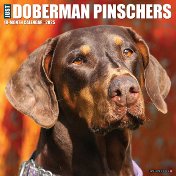 Calendar Just Dobermans 2025 12 X 12 Wall Calendar Book