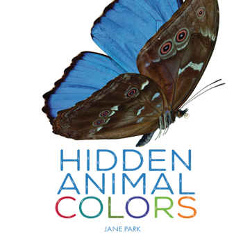 Library Binding Hidden Animal Colors Book