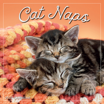 Mini-Disc Cat Naps Book