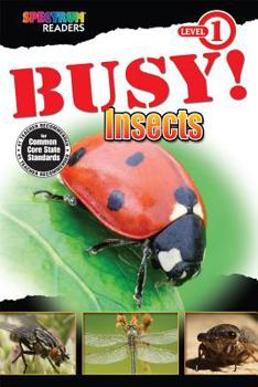Paperback Busy! Insects Book