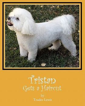 Paperback Tristan Gets a Haircut: A Tristan and Trudee Story Book